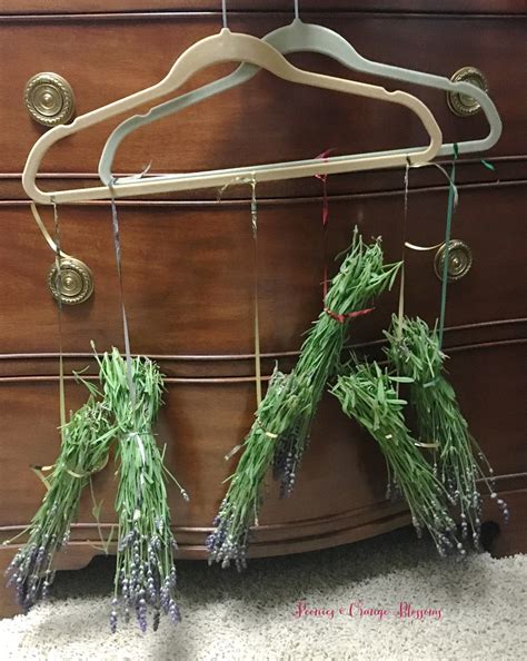 How to Dry Lavender and DIY Lavender Decorating Ideas - Petite Haus