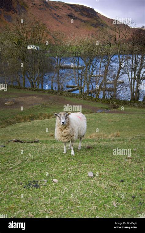 The Lake District landscapes Stock Photo - Alamy