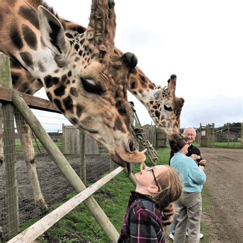 Over-the-Top Vacation Rentals That Will Blow Your Mind | Farm vacation ...