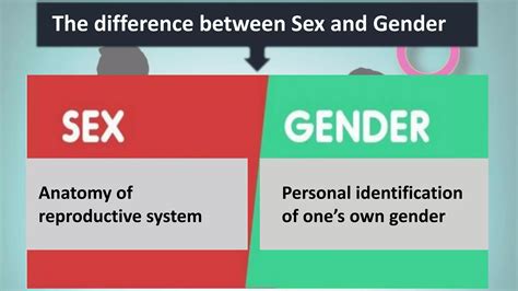 Gender And Sex PDF