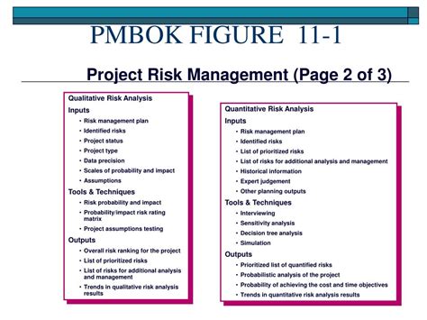 Pmbok Risk Matrix