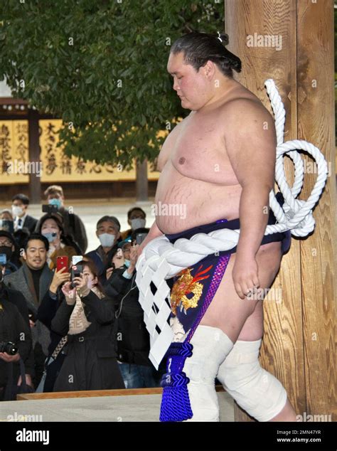 Yokozuna terunofuji hi-res stock photography and images - Alamy