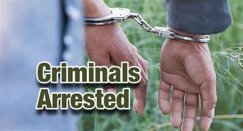 Laredo Sector Agents Arrests A Sex Offender And A Gang Member Texas Border Business