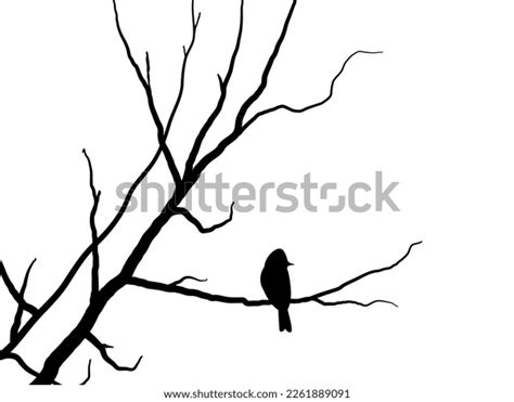 Black Branch Tree Naked Trees Silhouettes Stock Vector Royalty Free Shutterstock