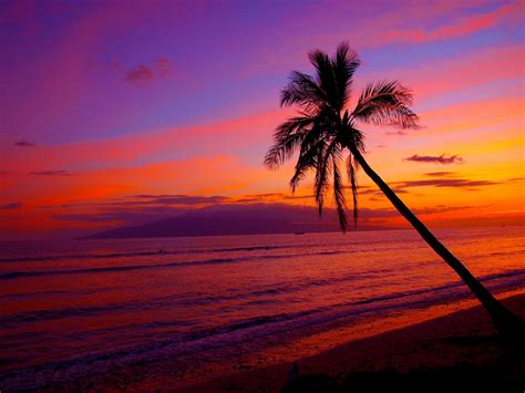 Hawaii Beach Sunset Wallpapers - 4k, HD Backgrounds on WallpaperBat