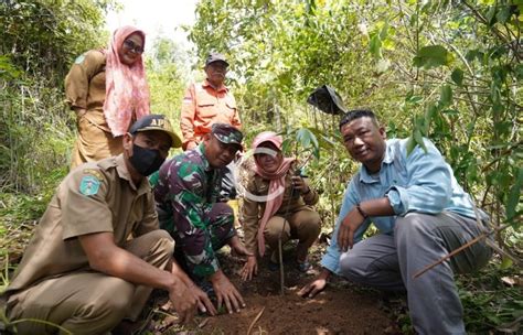 PT Vale Sinergi Pemda Lutim Tanam Pohon Di Areal Persetujuan Penggunaan