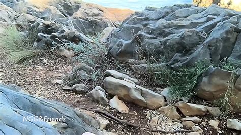 Free Enf Cmnf Porn Videos Xhamster