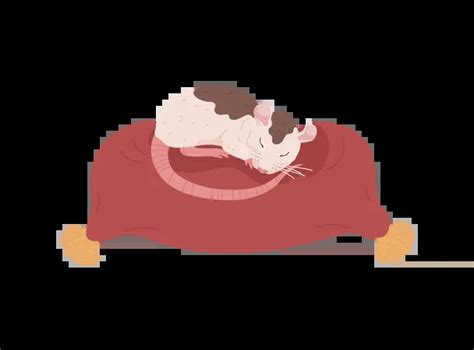 Best Sleeping cute rat Illustration download in PNG & Vector format