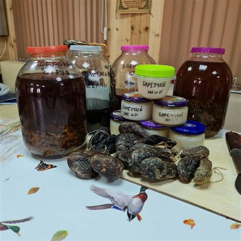 Максим Зорин база Кигач-хаус рыбалка и охота тел 89611371111 - Есть все ...