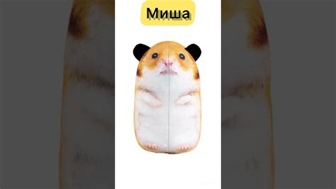 Миша привет!😁 - YouTube