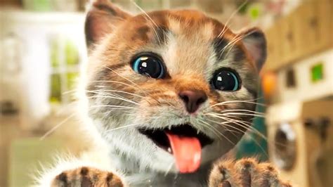 ПРИКЛЮЧЕНИЕ Маленького Котенка - Спасение Котика в Little Kitten # ...