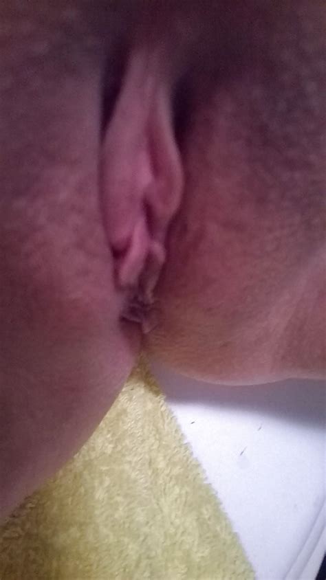 Self Shot Chubby Pussy Porn Pictures XXX Photos Sex Images 52619 PICTOA