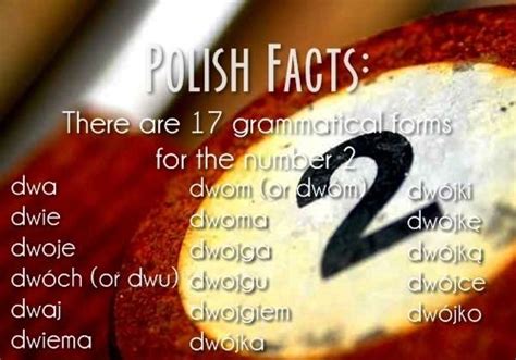 Fun Facts About Poland Poland Facts Fun Facts Facts