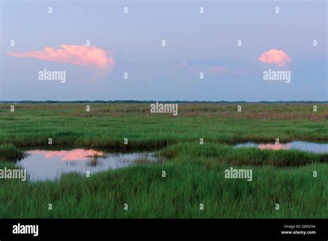 Sawgrass Prairie Hi Res Stock Photography And Images Alamy