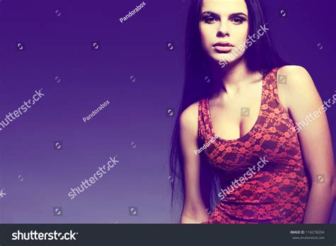 Attractive Sexual Brunette Lingerie Stock Photo 116278204 Shutterstock