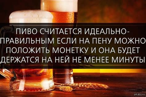 Качество пива | Пикабу
