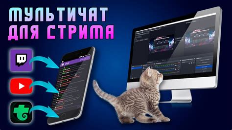 Мультичат для трансляций | Стрима - YouTube