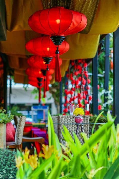 Hot Chilli Thai Restaurant At Chiangmai Thailand On Walking Road Thai Restaurant Chilli