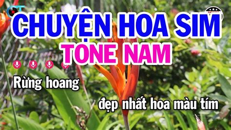 Karaoke Chuy N Hoa Sim Tone Nam Cm Nh C S Ng M I Karaoke Kim