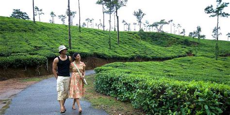 Ooty Tour Packages Online Book Ooty Tour Packages