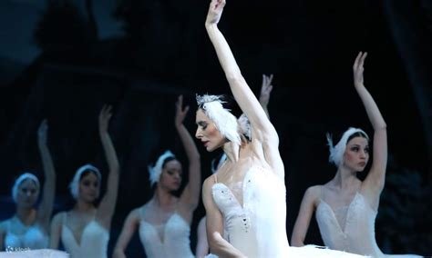 Swan Lake Ballet Skip-the-Line Ticket in St. Petersburg - Klook