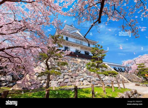 Shiga, Japan - April 3 2023: Nagahama Castle built by feudal lord ...