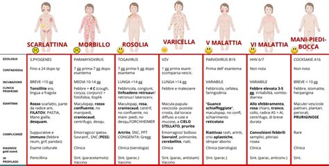 Tutto Quello Che C Da Sapere Sulle Malattie Esantematiche Peer Med