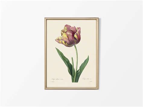 Tulip - Trove Prints
