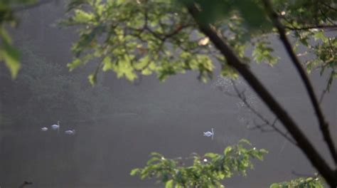 Cult Film Freak Reviving Woody Allen S A Midsummer Night S Sex Comedy