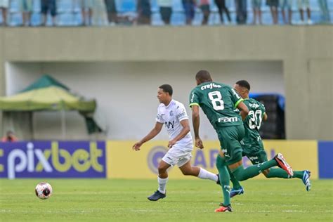 Aster Itaqu Elimina Bicampe O Palmeiras E Garante Vaga Nas Transforme