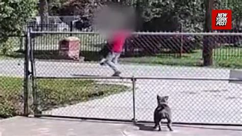 Footage Shows Illegal Immigrant Snatching Chinese Sex Slave Who Escaped Texas Trafficking Ring