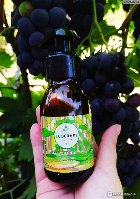 Гидрофильное масло Ecocraft для жирной и проблемной кожи "Black currant ...