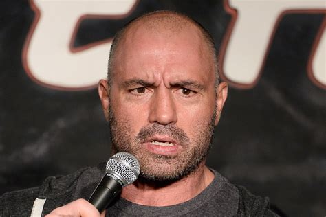 Expert Analysis: Unraveling The Mystery Of Joe Rogan's Past Relationships Image 9
