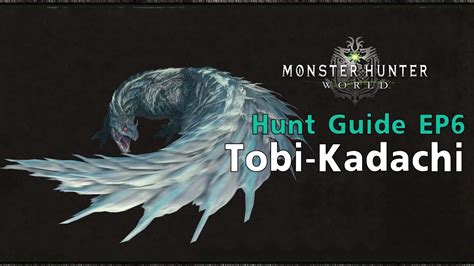 Monster Hunter World Hunt Guide Ep6 Tobi Kadachi Youtube