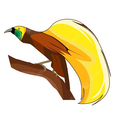 Burung Cendrawasih Papua, Surga, Burung, Rancangan PNG dan Vektor