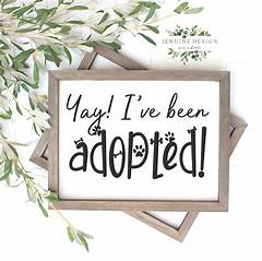 Sign Of Feb He Adopted A Rescue Dog And His Life Changed Forever