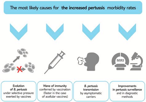 Evaluation of Whole-Cell and Acellular Pertussis Vaccines in the