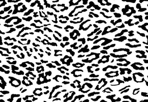 Leopard Pattern Vector Art Icons And Graphics For Free Download