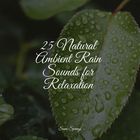 Natural Ambient Rain Sounds For Relaxation Album By Chillout