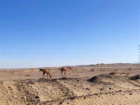 Dalbandin Pakistan Polarsteps