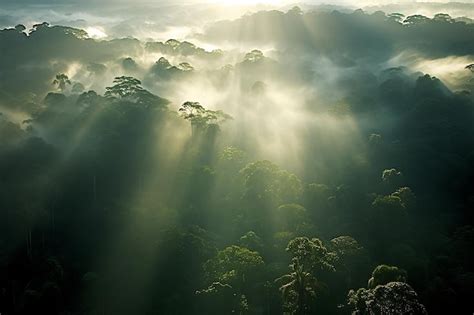 Premium Photo Earthday Wallpapers And Backgrounds