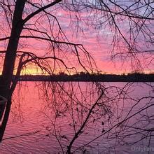 Athena Demos Nude Onlyfans Leaks Fapopedia