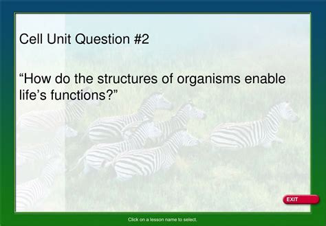 Ppt Chapter Cellular Structure And Function Powerpoint Presentation