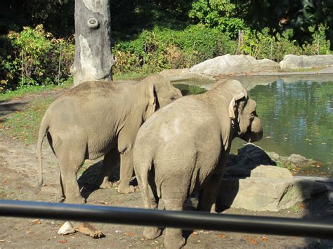 Wordless Wednesday From Behind With Linky Gay NYC Dad