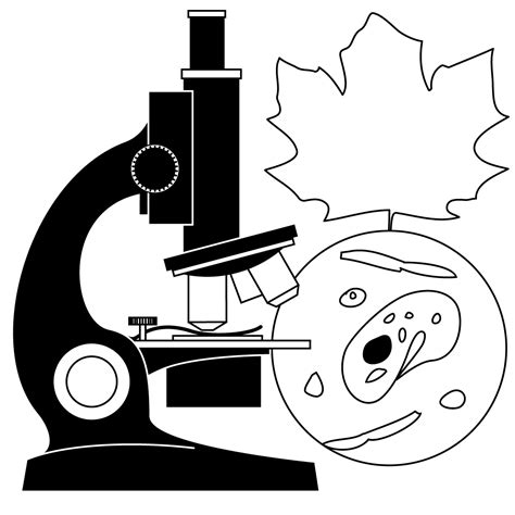 Free Biology Book Cliparts Download Free Biology Book Cliparts Png