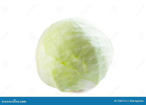 Kapusta zdjęcie stock. Obraz złożonej z kapusta - 7340112