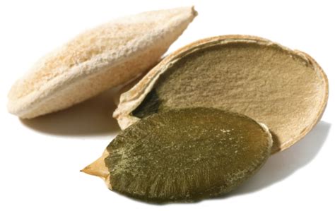 Посадка тыквы семенами в открытый грунт – время, как прорастить, когда ...