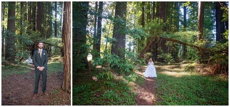 Redwood National Forest Elopement Parky S Pics Photography