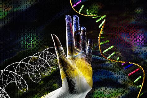 Business Reporter Digital Economy Biometric Identification How Dna