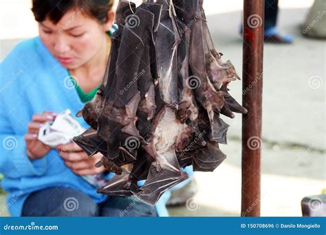 Bats Food Editorial Photo Image Of Culture Shop Asia 150708696
